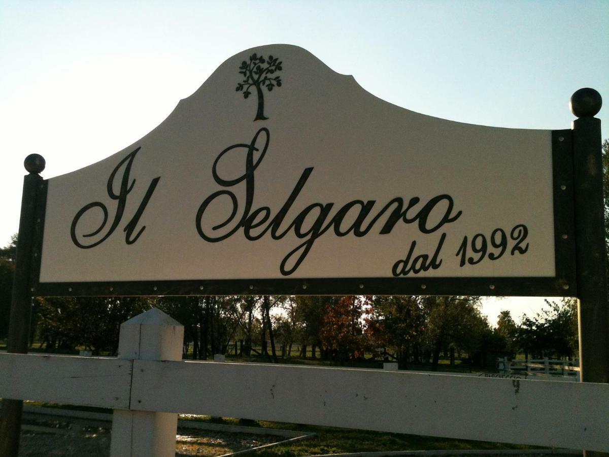 Il Selgaro Agriturismo Hotel Zelarino Zewnętrze zdjęcie